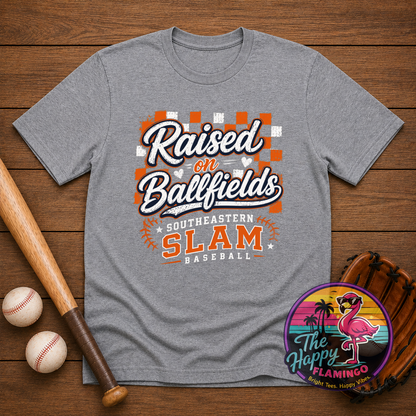 DriFit Slam Raised on Ballfields Tee