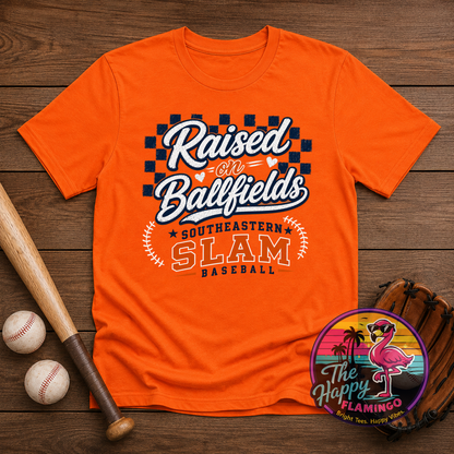 DriFit Slam Raised on Ballfields Tee